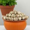 20PCS Resin Halloween New White Ghost Face Pumpkin Set Halloween Resin Home Garden Micro Landscape Bonsai Decoration