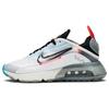 Air Max 2090 Pure Platinum Women's CT7698-100