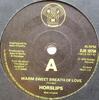 7inch Record HORSLIPS  Warm Sweet Breath Of Love DJS10754 DJM Records 1976 UK CountryFolk Used