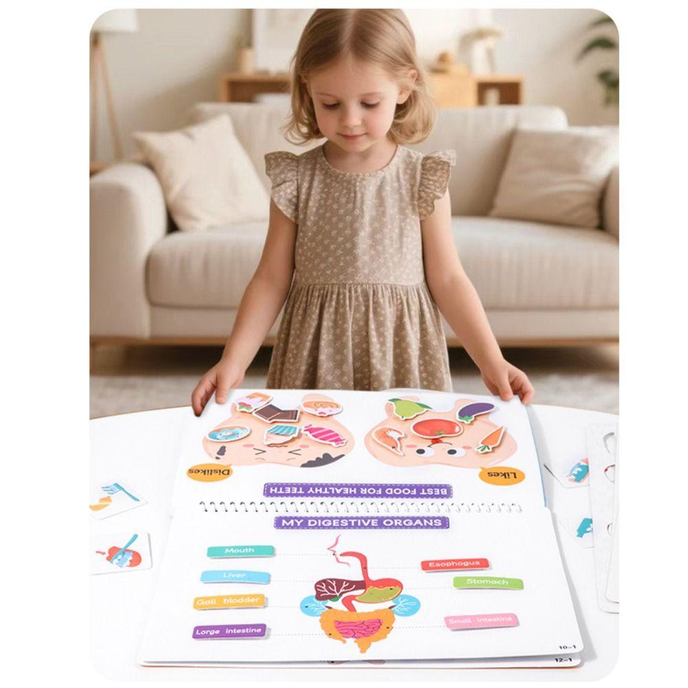 Interactive Learning Body Structure Busy Book Tear Pull Early Education Adhesive Book Enlightenment Book Preschool Learning