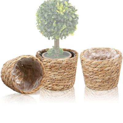 Woondecoratie – Bloempotten