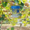 Bee Trap, Garden Pest Trap, Bee Hanging,trap, Reusable Bee Trap, Bee Trap, Outdoor