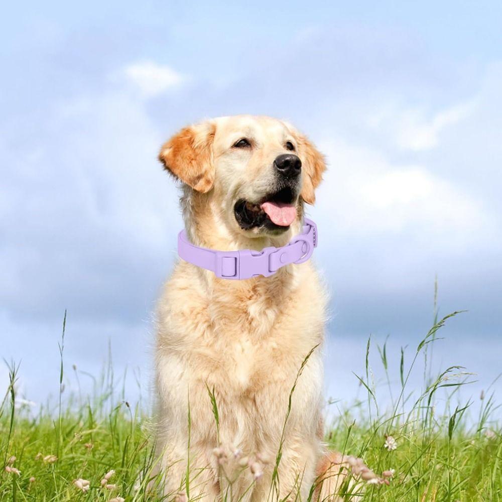 Adjustable Waterproof Dog Collar Elastic Webbing Safety Buckle Chain Fashion Pet Collar  Walking