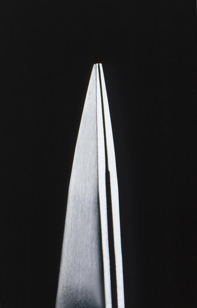 Master Technique Stainless Steel Premium Tweezers Craftsman's (Extra Fine) G-2152