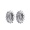 European American Luxury Zircon Earrings: Fashionable S925 Sterling Silver Hollow Ear Studs for Women