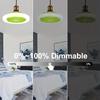 1-teiliger Deckenventilator mit Licht, moderner 18-Zoll-Fernbedienungs-Deckenventilator mit niedrigem Profil und Licht