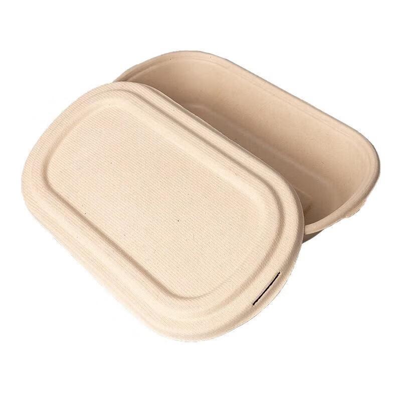 Disposable Bamboo Pulp Biodegradable Meal Box