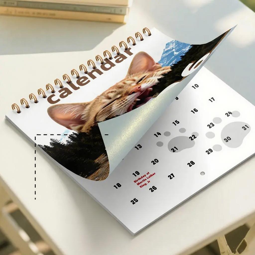 Ideal Gift For Abstract Cat Calendar Cat Enthusiasts