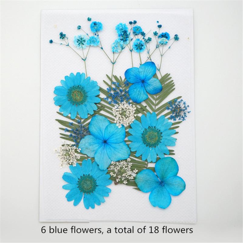 Getrocknete Blumen für selbstgemachten Schmuck, Lesezeichen, Fotorahmen, Make-up-Dekoration