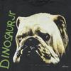 Vintage DINOSAUR JR 1992 WHATEVER’S COOL WITH ME BULLDOG Sz.L REPRINT Unisex T-Shirt