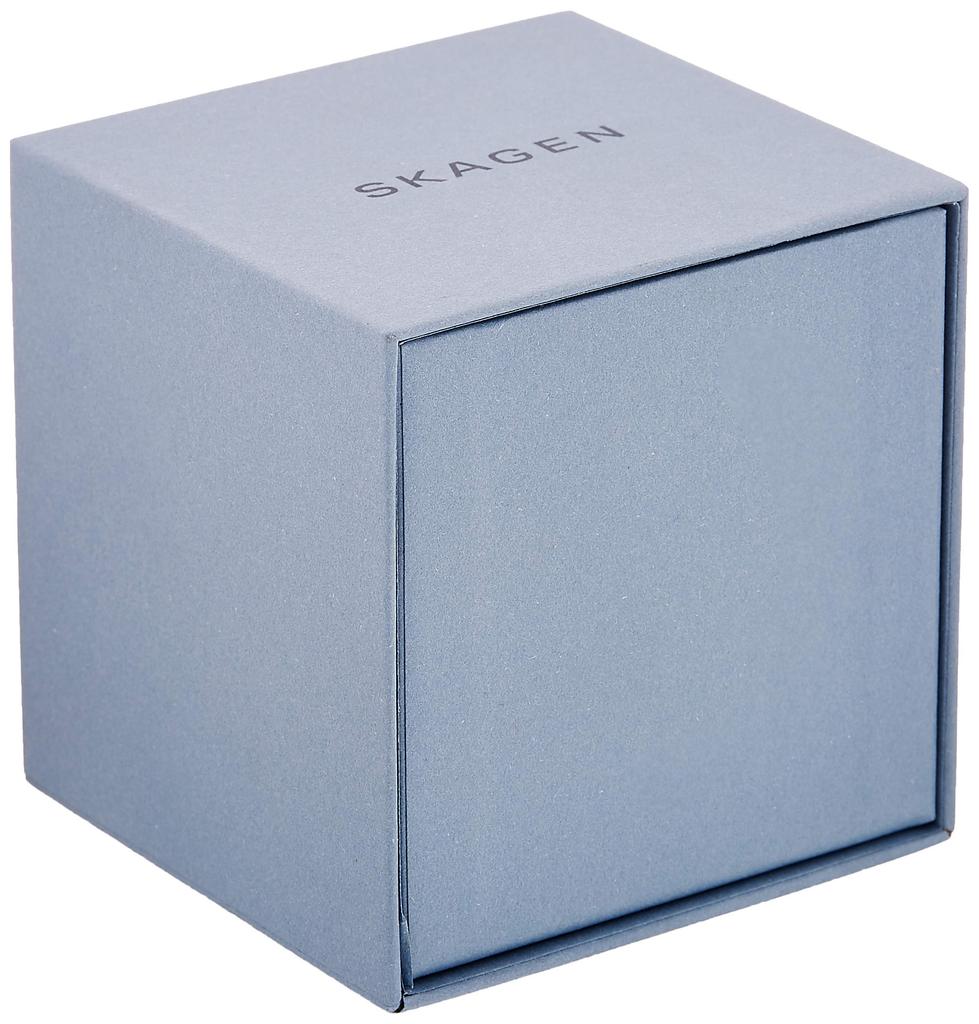 Skagen KLASSIK 233XLTTN Men's Watch, Officially Imported, Silver