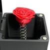 Valentine's Day Rose Gift Box Spring Popping Red Flower Love Heart In