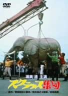 DVD DVD - Scrap Group DC1016 Japan Movies & DVD Used