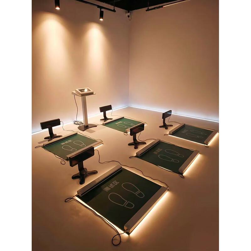 Smart Single-Leg Stand Balance Tester