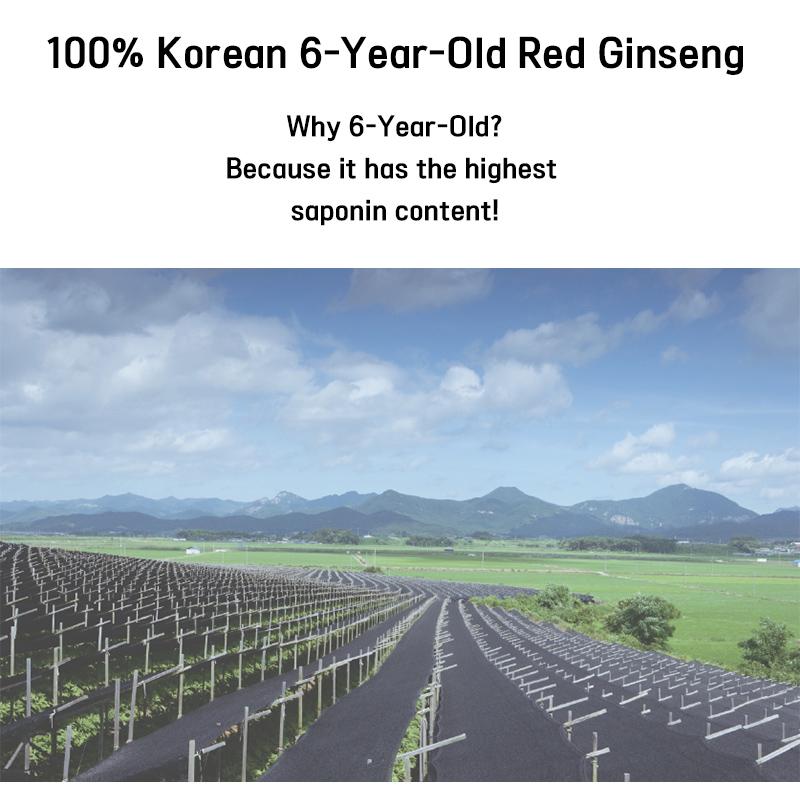 CHUNGBUK GINSENG COOPERATIVE ASSOCIATION Red Ginseng Daily 365 Stick (15g × 32 sticks)