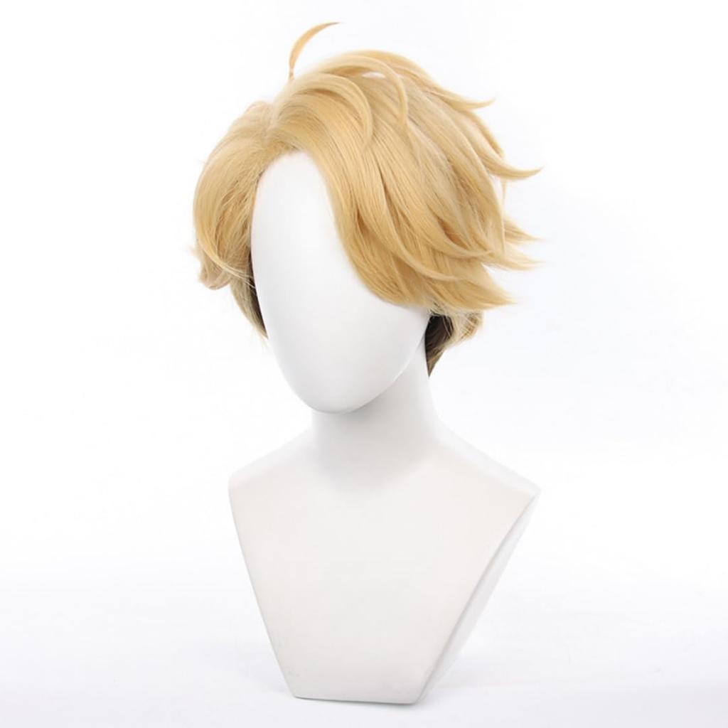 Akixen Ensemble Stars Narukami Arashi Wig Cosplay Anime Hairnet Fashion Gift Event Halloween Christmas Heat Resistant Disguise Costume School Festival