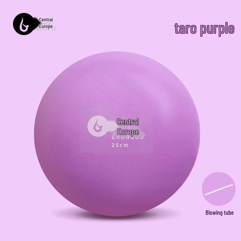 25cm Pilates Yoga Ball