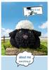 Ollie the Little Sheep Plush Doll - Comforting Lullaby Companion and Gift