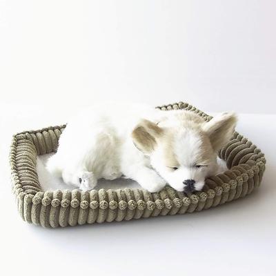 Ninian and Kino Perfect Pet Chihuahua Smooth Plush Stuffed Celebration Gift (Small) Dog, Realistic, Lifelike, Animal-Like Animal, Soothing, Moving,