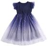 Children's Clothing Girls Dress Spring and Summer Big Children's Princess Dress Net Red Fairy Gradient Dress Tutu Skirt Mesh Skirt