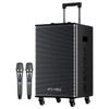 SANSUI E10pro Portable Outdoor KTV Speaker with Wireless Microphone (CN Version)