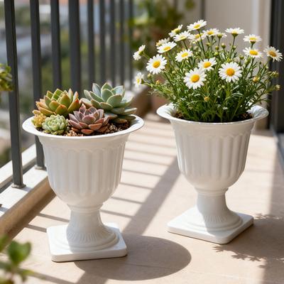 Vaso Fioriera Piccolo Rotondo in Plastica Contenitore Piante da Scrivania Vintage per Erbe Drenaggio