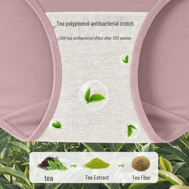 YOUNGYELL Women's High-Waist Cotton Antibacterial Briefs 4-Pack