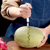Double Headed Stainless Steel Fruits Spoon Digging Ball Carving Fruits Dual Purpose Spoon Apply To Kitchen Fresh Fruit JXB