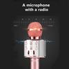 Wireless Bluetooth Speaker Home Microphone Flash LED Light Handheld Microphone