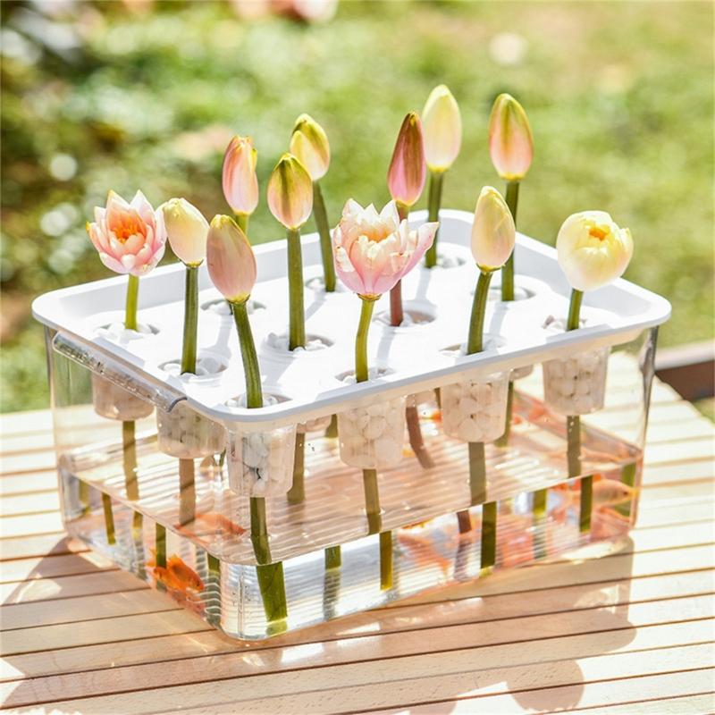 Visible Cultivation Tray Hydroponic Grower Box Container With Lid For Home Vegetables Water Based Gardening And Home Use