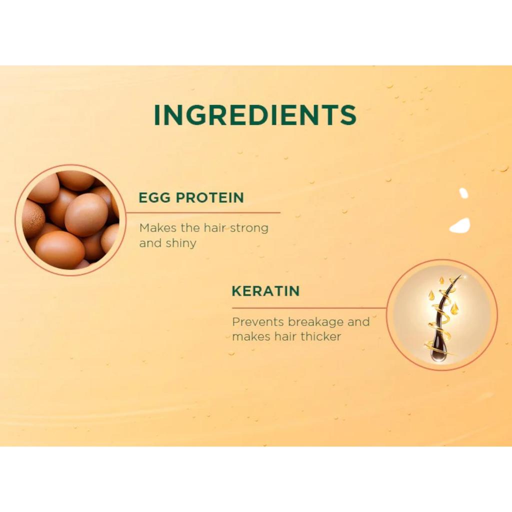 Biotique Eggplex Keratin Shampoo 300ml Für dickeres, glänzenderes Haar Beugt Haarbruch vor Proteinbehandlung Männer Frauen