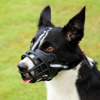Köpek Ağızlığı Nefes Alabilir Sepet Ağızlıklar Yavrular ve Büyük Köpekler İçin Isırmayı Havlamayı ve Çiğnemeyi Durdurur Agresif Evcil Hayvan Malzemeleri İçin En İyisi