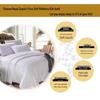 Fang En Royal Classic All-Season Corn Fiber Quilt