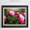 5D Diamond Painting Full Drill Flowers Diamond Embroidery Nature Picture of Rhinestones Art Kits