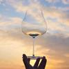 2pcs 810ml Crystal Wine Glasses Large Red Wine Tasting Glasses Barware Decor Perfect for Awakening The Flavors of Red Wine