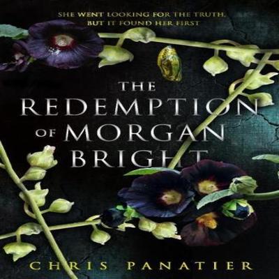 The Redemption of Morgan Bright by Chris Panatier Paperback Book 9781915202895