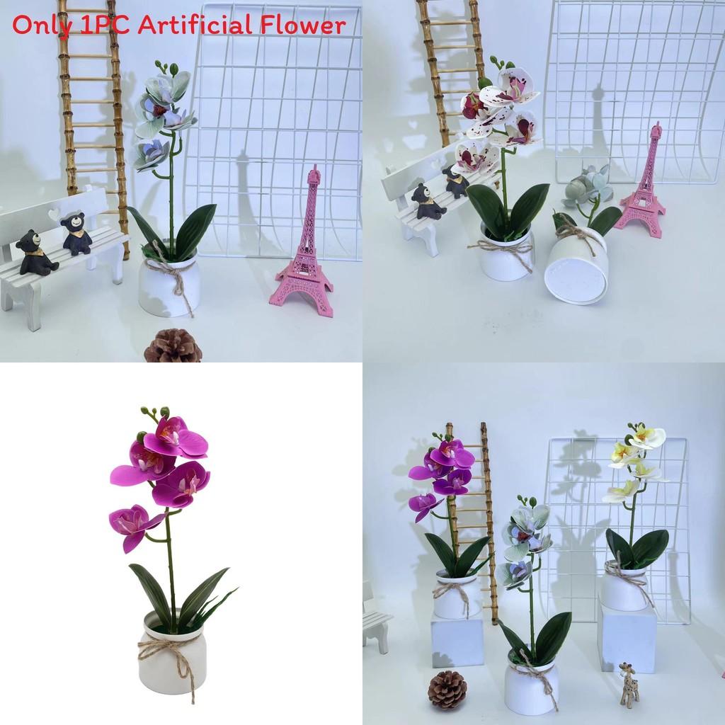Phalaenopsis Kunstblumentopf für Außengartendekoration und Foto-Requisiten