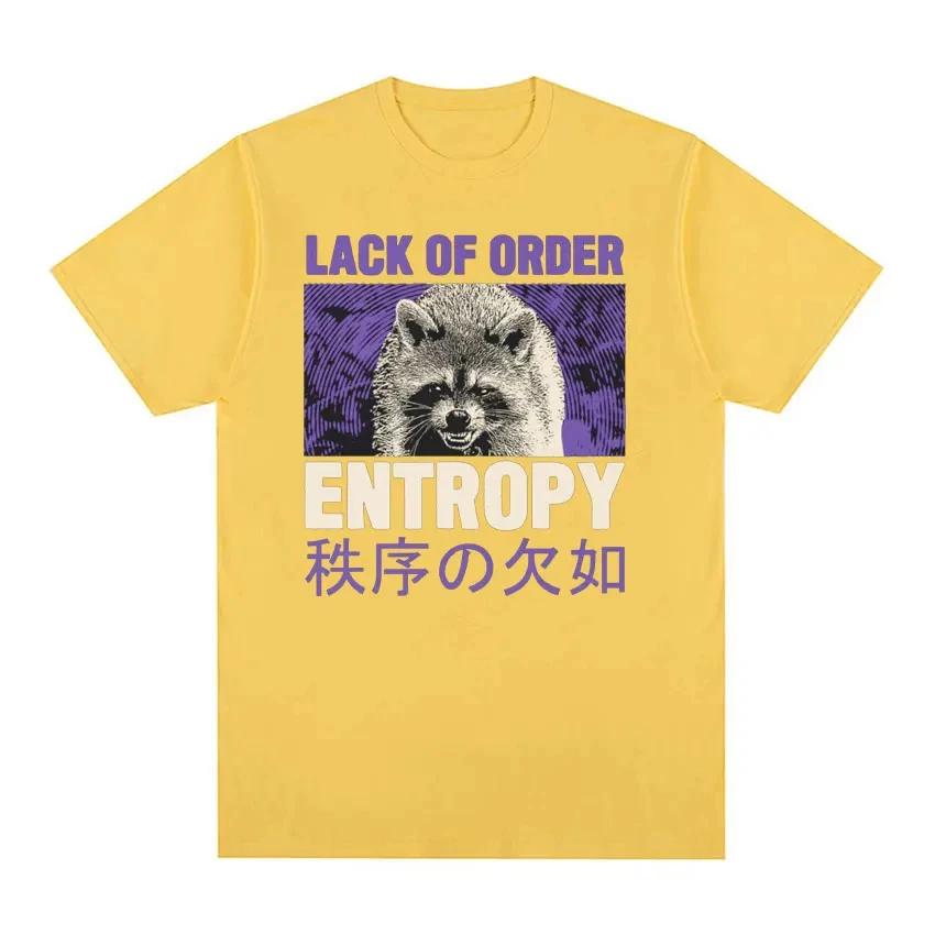 90s Retro Entropy Raccoon Funny Meme Tshirt Lack OF Order Men Women Fashion T-shirt O-Neck Cartoon T Shirt Printed Tees Top
