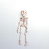 Poseable 3D Printed Skeleton Figure Ornament - Trendy Decoration Toy Gift