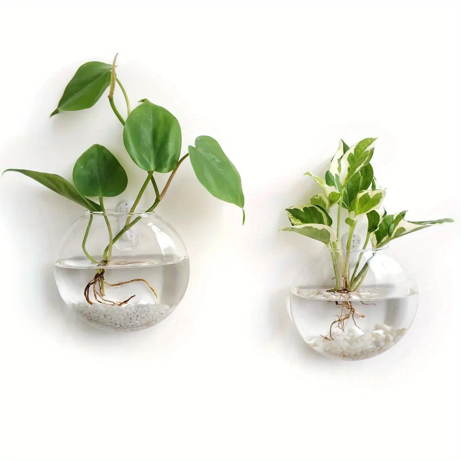 

2/4/6 Pack Wall Hanging Glass Terrarium - Self-Watering Hydroponic Planter for Home Office Decor, Handmade Round Crystal Vase