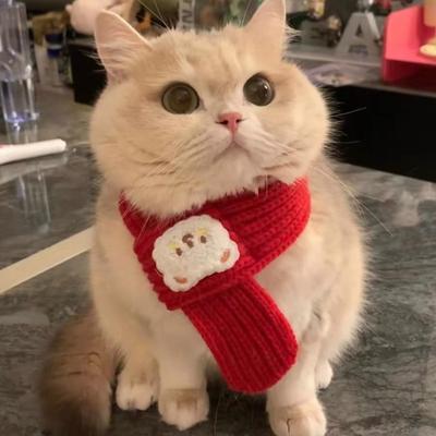 Katze Hund Schal Cartoon Bär Druck Warm Verhindert Ablösung Haustier Halstuch für Kleine Hunde Welpe Kätzchen Neujahrs-Weihnachtsgeschenke