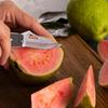 Stainless Steel Pocket Folding Knife Outdoor Fruit Knife with Non Slip Handle Portable Multifunctional Small Camping Knife