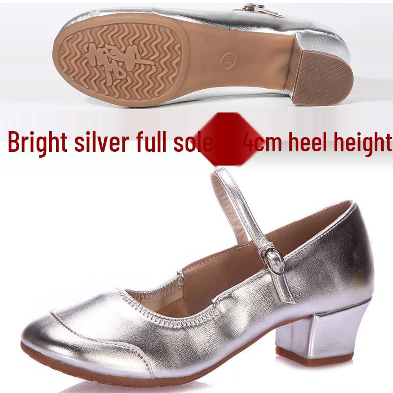 

Women s 2025 Silver Soft Sole Latin & Square Dance Shoes 34
