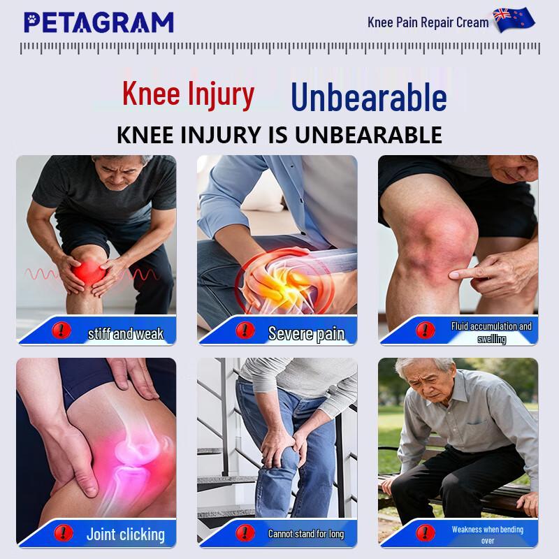 PETAGRAM Knee Pain Relief Patch 20g