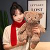 Cute Sitting Pose Teddy Bear Plush Toy with Wool Scarf – Perfect Gift for Girlfriend