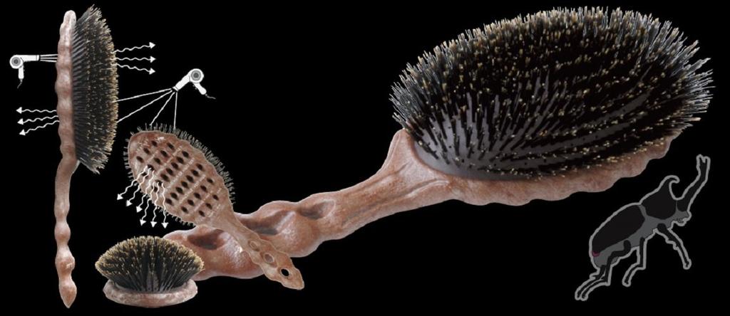 YS-68AS1 Beetle L Brush with Wood Marble Handle, Soft Brown Cushion, and Premium Pig Bristles