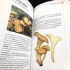 [USED] Two Mushroom Encyclopedias: "Funghi" and "Funghi Del Bosco" In Italian