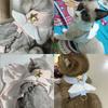 Angel Wing Cat Harness and Leash Set, Cute Kitten Vest Harness Escape-Proof Soft Mesh Walking Harness for Cats Small Dogs