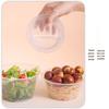 Faxilong Disposable Food Containers with Lids
