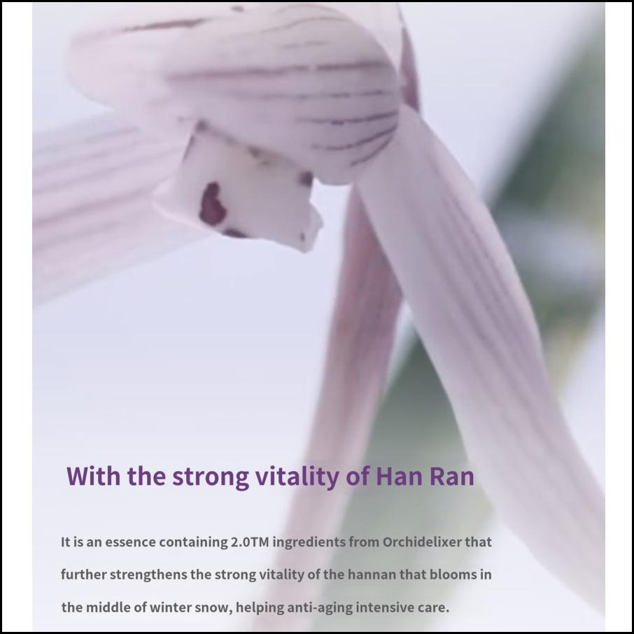 Innisfree Jeju Orchid Enriched Essence 50ml Anti-Aging Hydrating Serum for Smooth, Firm Skin